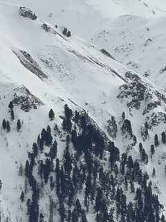 Fotografija s spletne strani douwe beeke na poti