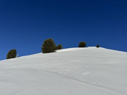 Photo de Emmanuel Olivotti le long du parcours