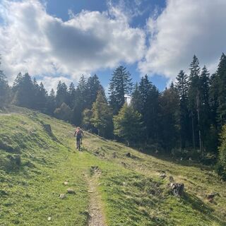 Kurze Trailpassage unterhalb des Eineguntkopfes