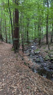 Zdjęcie z Franz Schönbichler wzdłuż trasy