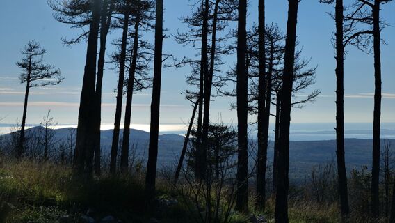 Vom Fajtem-Hügel (433 m) eröffnet sich der Blick auf das Meer.