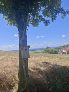 Fotografija s spletne strani Katona Ferk Mariann na poti