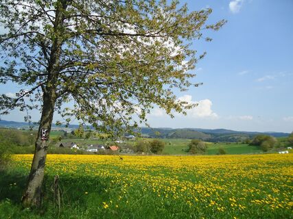 Fernsicht Berge