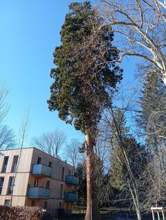 Zdjęcie z Stephane Cappellaro wzdłuż trasy