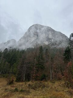 Fotografija s spletne strani Arcangelonapoli na poti