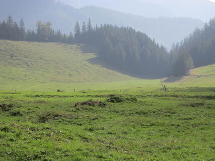 Murmeltieralm