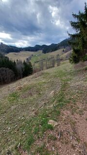 Foto von E.U. entlang der Tour