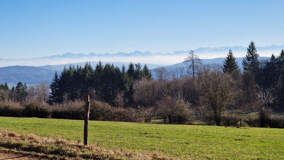 Foto von Bla Blubb entlang der Tour