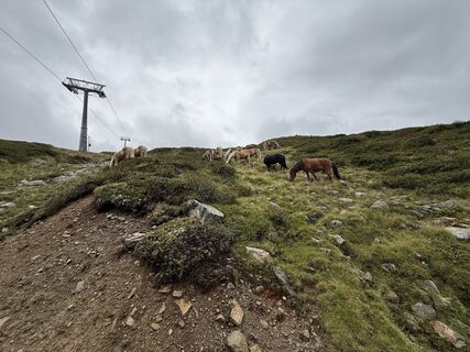 Foto von Fabian Jordans1 entlang der Tour