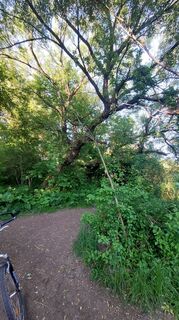 Foto de Iván Kilián a lo largo del recorrido