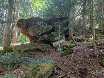 Photo de Nella le long du parcours