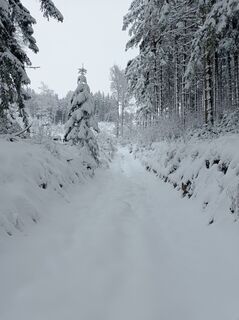 Foto von wolfgang74 entlang der Tour