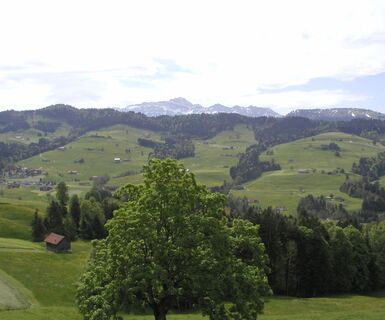 Aussicht Chäseren Schönengrund