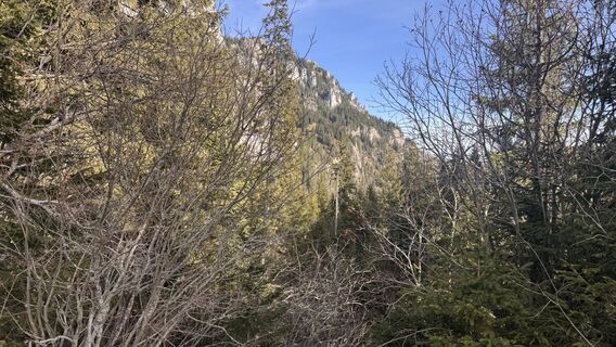 Foto von peter_oe entlang der Tour