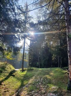 Fotografija s spletne strani Grit Georgi na poti