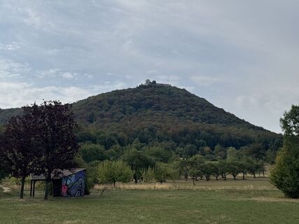 Foto von Tyx De entlang der Tour