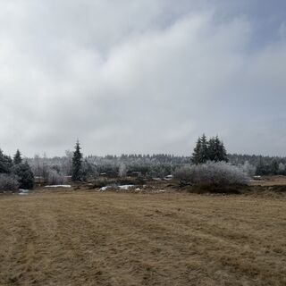 Fotografia z Steffen Kiesel na trase