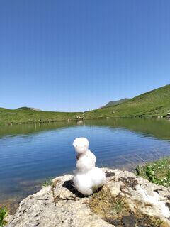 Foto de Jozko Mrkvicka 1 a lo largo del recorrido