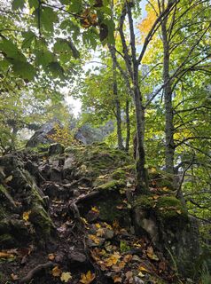 Foto von Noreen (NoKe) entlang der Tour