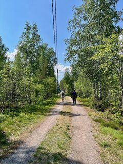 Auf den Pfaden des Lohkarepuisto in Nastola