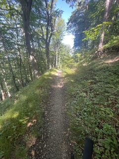 Fotografie de la Alexander König 09 de-a lungul turului