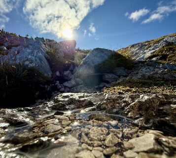 Foto van Dani Geiger / Natur_erleben_dg langs de tour