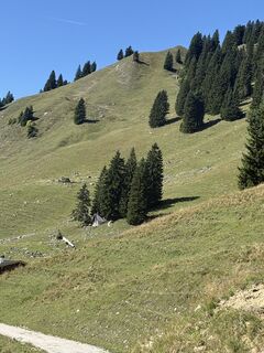 Fotografia z Angelikagraf na trase