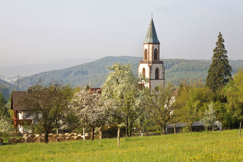 20090423 D HRH009 b