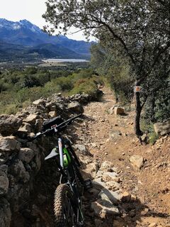 FFC-Mountainbike 12: Saleccia