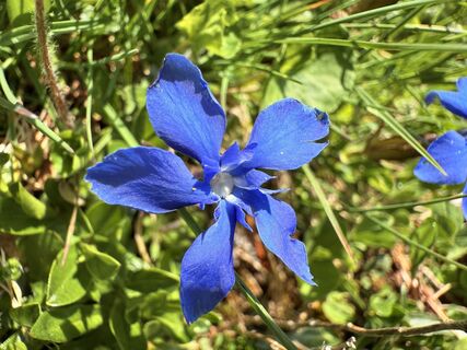 Fotografija s spletne strani mc6206 na poti