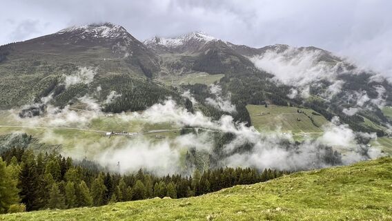 Fotografija s spletne strani Ralph Hollfoth na poti