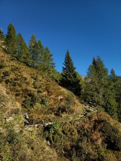 Foto von Aner entlang der Tour