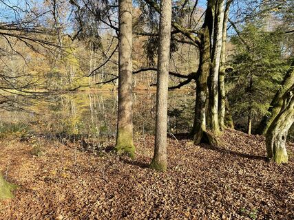 Foto von Stefan entlang der Tour