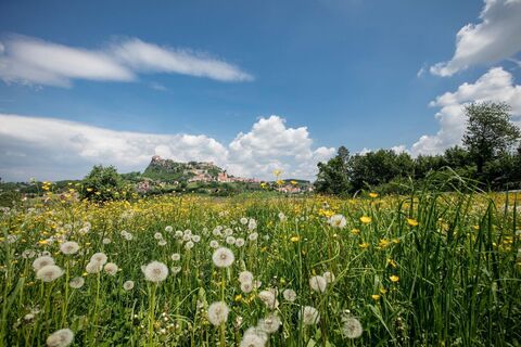Sommerliche Radtour mit der Riegersburg im Hintergrund