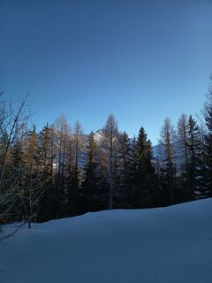 Photo de Aner le long du parcours
