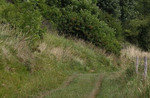 Wanderung Wolfspass