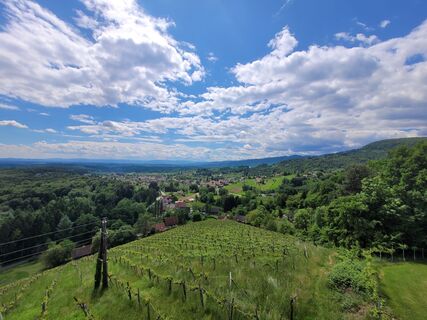 Weinbergwarte_Aussicht.jpg