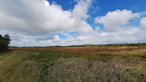 Zdjęcie z Thomas G. wzdłuż trasy