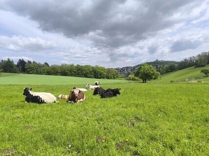 Foto von David Hincziza entlang der Tour
