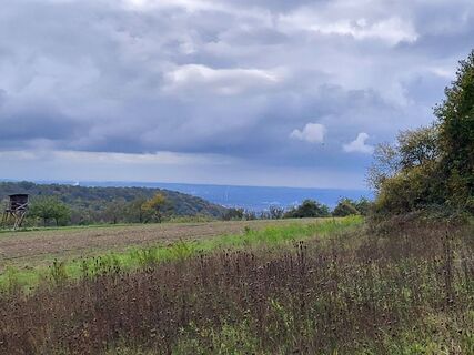Zdjęcie z Manfred Korekt wzdłuż trasy