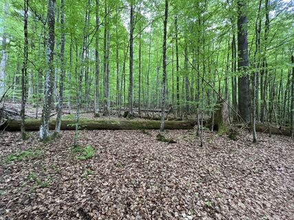 Photo de Volki F. le long du parcours