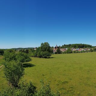 Blick über die Bornfeldwiesen auf Leimen/Pfalz