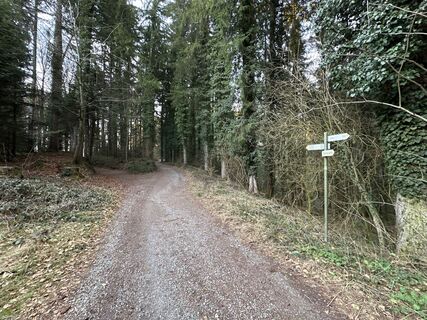 Foto von Bennadt entlang der Tour
