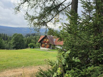 Foto von MRDL entlang der Tour