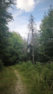 Foto von DevilsBastard entlang der Tour