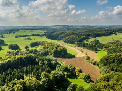 Ausblick bei der Wanderung auf dem Schneifel-Pfad