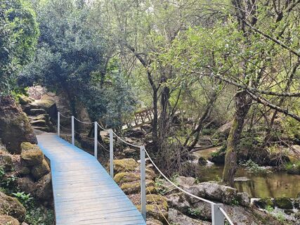 Foto de Michi Steiert a lo largo del recorrido