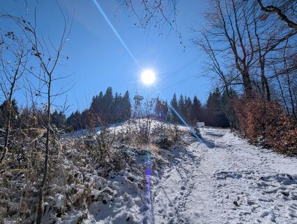 Fotografia z H&M na trase