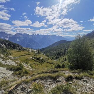 Selva - Cancian