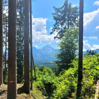 Foto von mmecki entlang der Tour